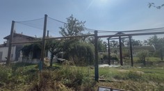 Zoo v Hluboké nad Vltavou opravila voliéry po kalamitě. Vracejí se první zvířata