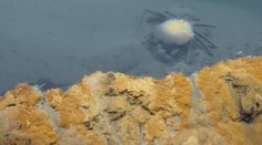 SMRTÍCÍ JEZERO na dně zálivu: Nikdo se z něj nevrátí živý! VIDEO