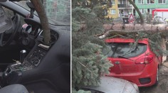 Českem se prohnala zimní bouře. Vítr lámal stromy na mnoha místech