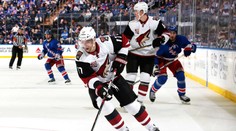 Další do party: Aspoň 1000 zápasů v NHL už má deset Čechů!