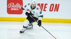 Věřím, že diváci budou fandit nám, hlásí navrátilec Hertl před NHL v Praze
