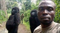 Gorily zapózovaly muži pro selfie! Snímek pak obletěl celý svět