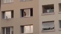 Holčička po parapetu v 7. patře neprošla poprvé, tvrdí sousedi. Promluvila i matka