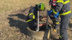Přibývá nezabezpečených skruží. Stávají se smrtícími pastmi pro zvířata