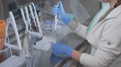 Naděje pro pacienty s rakovinou slinivky. Český vědec ji diagnostikoval z krve