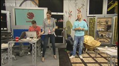 Šediví vám vlasy? Možná je to kvůli ledvinám