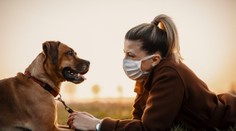 Vědci odhalili nový koronavirus. Lidé se jím zřejmě nakazili od psů