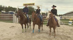 VÍKEND: Hustý holky v sedlech koní