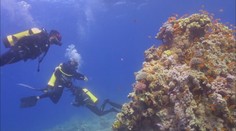 Egyptské město zmizelo před 1200 lety. Vědci v něm objevili poklad