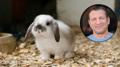 Herec z kriminálky prý snědl králíčka své bývalé přítelkyně
