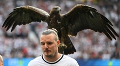 Skončí oblíbený maskot německé Bundesligy? Jde o týrání zvířat, říká PETA
