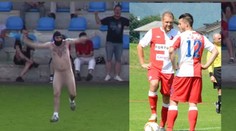 Naháč přerušil zápas Slavie! Chytili ho až na druhé straně