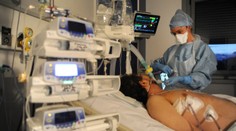 Mrtvých v Česku přibývá! V říjnu umřelo nejvíce lidí od roku 2011