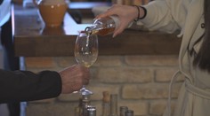 Úroda hroznů byla letos dobrá. Přesto svatomartinská vína zdraží