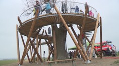 Lípu v Čisté u Litomyšle obepíná nová rozhledna, je z ní vidět Sněžka