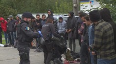 Policie odhalila stovky nelegálních migrantů. Nápor na hranici neustává