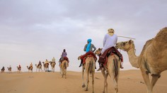 Plameňáci, antilopy, hejna ptáků. To je pouštní rezervace u Dubaje