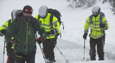 Policie ví, kdo měl napadnout strážce parku na Šumavě. Je podezřelý ze zločinu