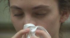 Alergiemi trpí až třetina Čechů. Alergologů ale pro ně není dost