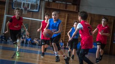 Slavná NBA zavítá do Děčína, přímý přenos vysílá Nova Sport