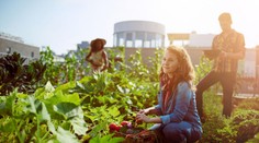 Samosběry jsou v plném proudu! Kam pro ovoce i zeleninu vyrazit? PŘEHLED
