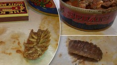 Humus ve šprotech! Podívejte se na VIDEO, jak v Albertu koukali na konzervu
