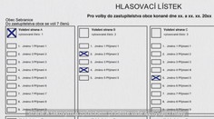 Jak správně volit v komunálních volbách: Tohle by měl vědět každý volič