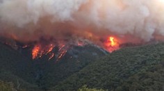 V Austrálii vyhlásili stav nouze. Požáry ničí i ledovce na Zélandu