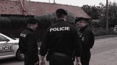 Zvrhlík se svlékal před dětmi v parku, strážníci si na něj posvítili