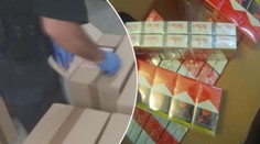 Obří zásilka pašovaných cigaret. Celníci našli kontraband za 38 milionů