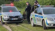 V pražské Divoké Šárce řádil útočník. Muž měl železnou tyčí zranit dva lidi