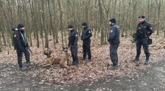 Stovky policistů prohledávaly Klánovický les. Hlídkovat tam budou dál