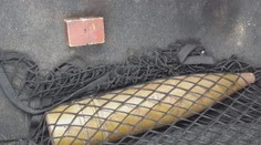 Policisté v šoku! Senior jim přivezl v síťovce dělostřelecký granát