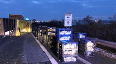 Na D1 se převrátil kamion s drůbeží! Tisíc kuřat nepřežilo