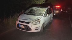 Dvě dopravní nehody způsobilo stádo koní na silnici. Nehody se neobešly bez zranění