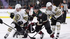 Pastrňák a Zacha zařídili gól, Boston přesto prohrál. Rittich vychytal Islanders