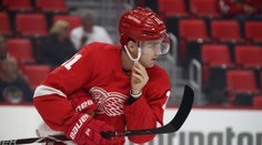 Zadina vystřelil Detroitu vítězství! Gólově se prosadil i Pastrňák