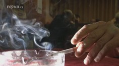 STŘEPINY: Boje mezi kuřáky a nekuřáky