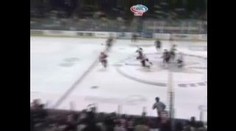 Hokejový Liberec posílí bitkař z NHL