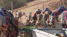 Rás al-Chajma vás nadchne: Adrenalin, pláže, luxus