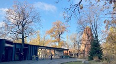 Oblíbená evropská zoo se na dlouho zavírá. Zabíjela tam ptačí chřipka