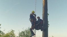 Na Prachaticku v korunách stromů uvízl paraglidista. Zachránit ho museli hasiči