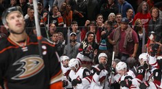 Hanzal má už 13 nahrávek a Arizona vyhrála v Anaheimu