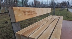 Dřevo zničené tornádem se vrací do přírody. Stane se symbolem naděje
