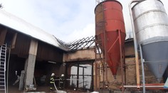Stodola lehla popelem, uhořelo 14 ovcí, zbytku se povedlo utéct