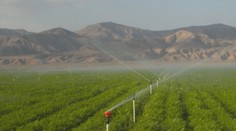 Boj o vodu v Kalifornii vyústil v soudní spor farmářů s místními