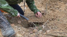Kopači vltavínů jsou nepoučitelní. Do lesů chodí těžit i přes přísný zákaz