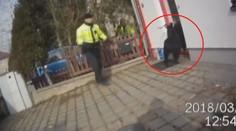 Marnivý kozel unikal strážníkům! Chytili ho, jak se kochá sám sebou