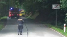 V Krkonoších spadl strom na projíždějící auto. Zemřela řidička, případ řeší GIBS