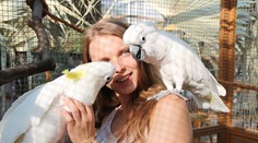 V Praze můžete vidět exotické ptáky. A navíc přispějete na dobrou věc